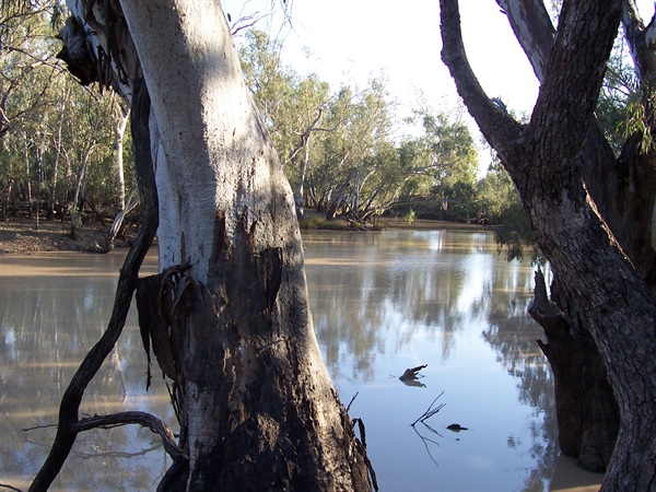 The Moonie River