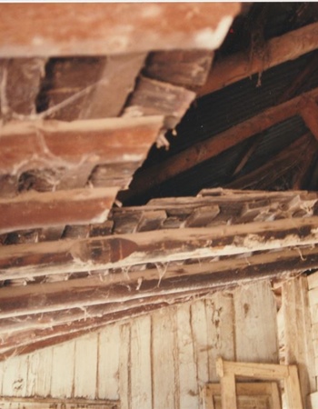 Hole that Vaughan climbed through and to retreive the letters Roof cavity S Verandah KB Nov 97